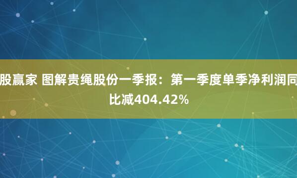 股赢家 图解贵绳股份一季报：第一季度单季净利润同比减404.42%