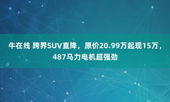 牛在线 跨界SUV直降，原价20.99万起现15万，487马力电机超强劲
