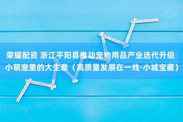 荣耀配资 浙江平阳县推动宠物用品产业迭代升级 小萌宠里的大生意（高质量发展在一线·小城宝藏）
